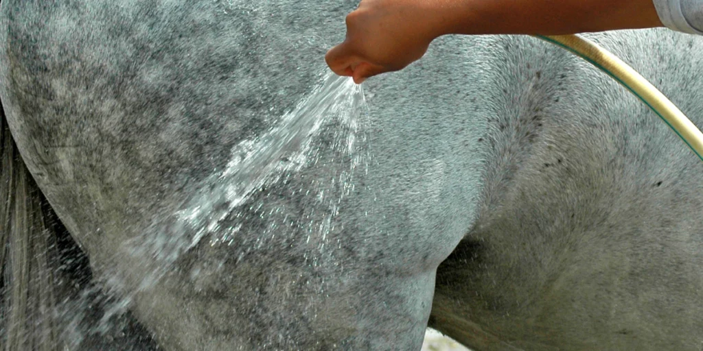 OA Article Image 92 1024x512