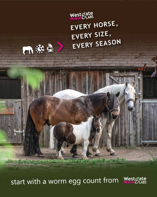 Fun and Frivolity Underpins Serious Message in Every Horse needs a Worm Egg Count Campaign